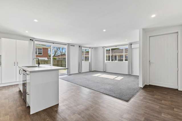 168a Seddon Street Pukekohe_1