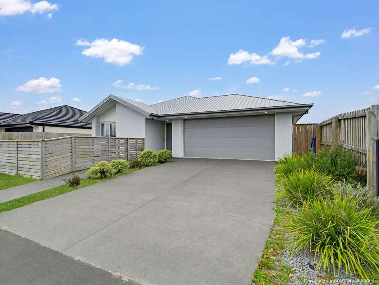 24 Arapawa Street Belfast_0