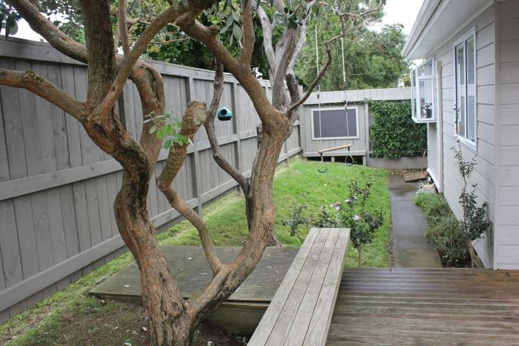 48b Alfred Street Onehunga_12