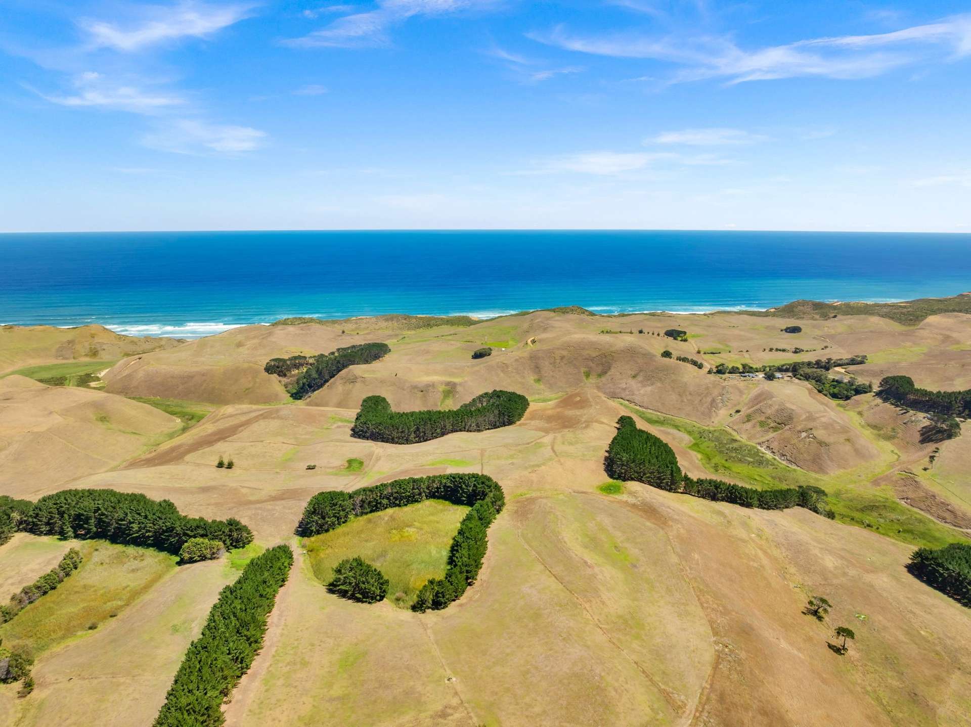 1415 Babylon Coast Road Dargaville_0