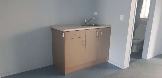 Ground Floor/241R Rosedale Road Albany_4