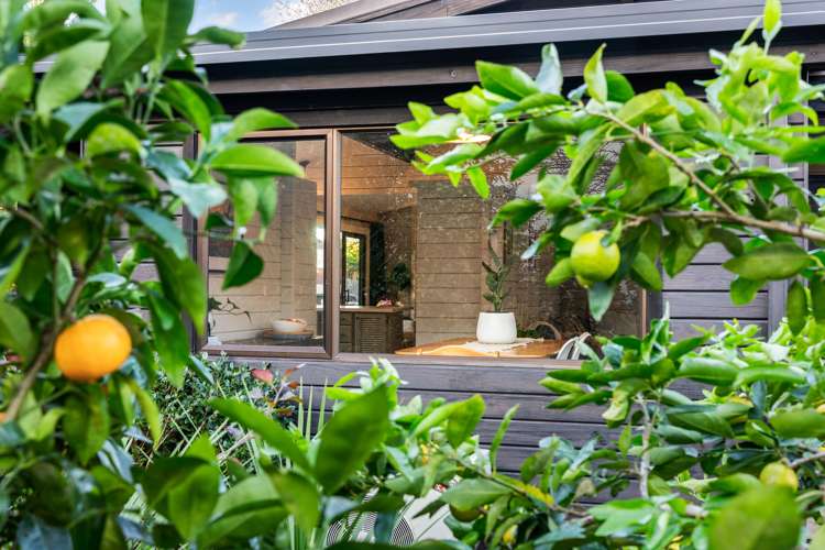 84a Nelson Street Howick_36