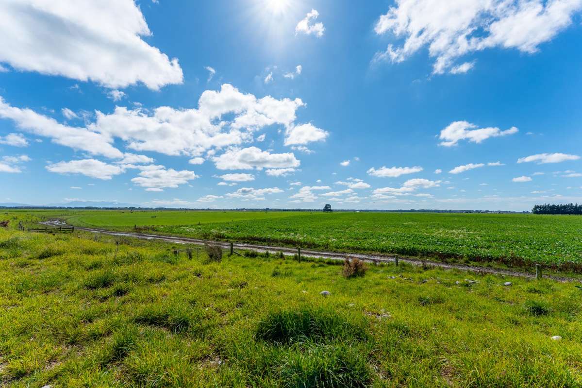 Rangitata Orari Bridge Highway_4