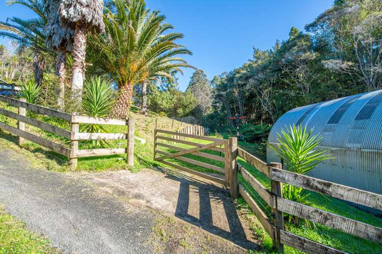 341 Kanohi Road Kaukapakapa_20