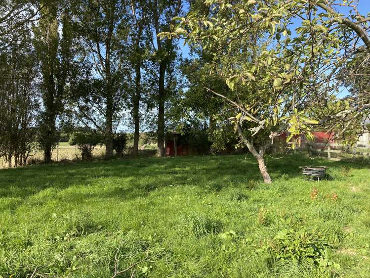 93a Stafford Street Shannon_10