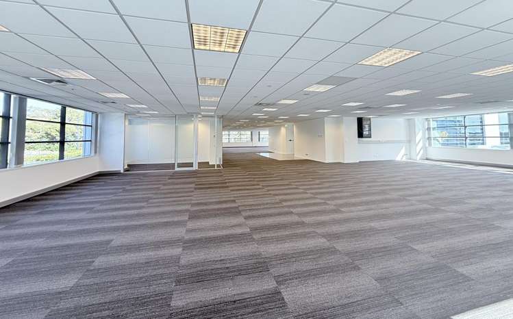 Level 1,61 Constellation Drive Albany_2