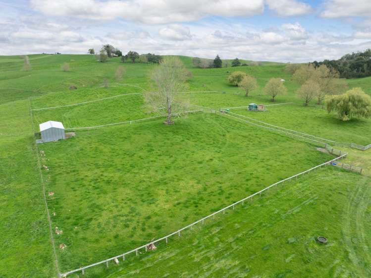 115 Gunn Road Matamata_41