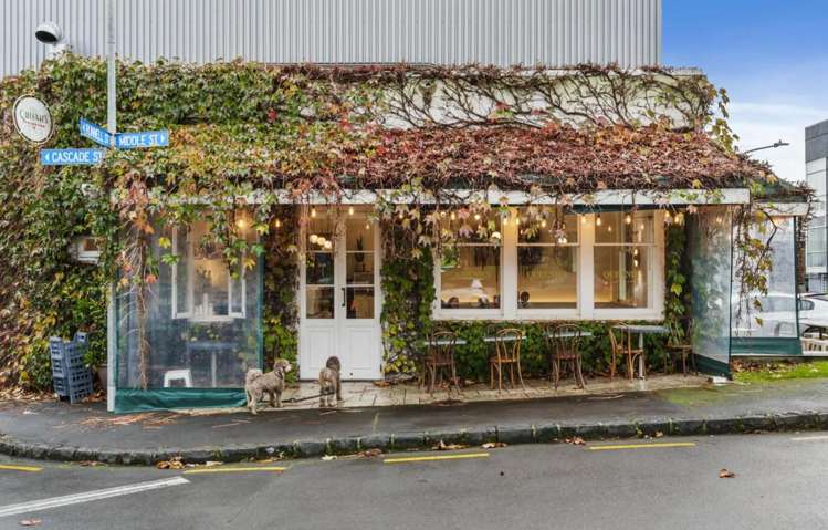 2A/36 College Hill Freemans Bay_19