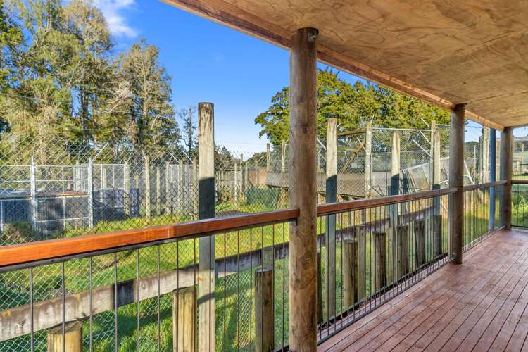 124 Gray Road Te Kamo_17