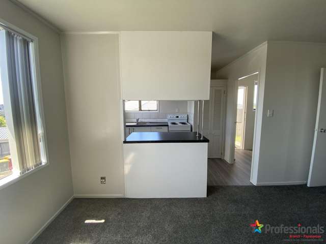 16 Malte Brun Place Papatoetoe_3