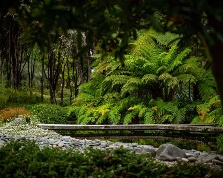 239 Redwood Street Witherlea_6