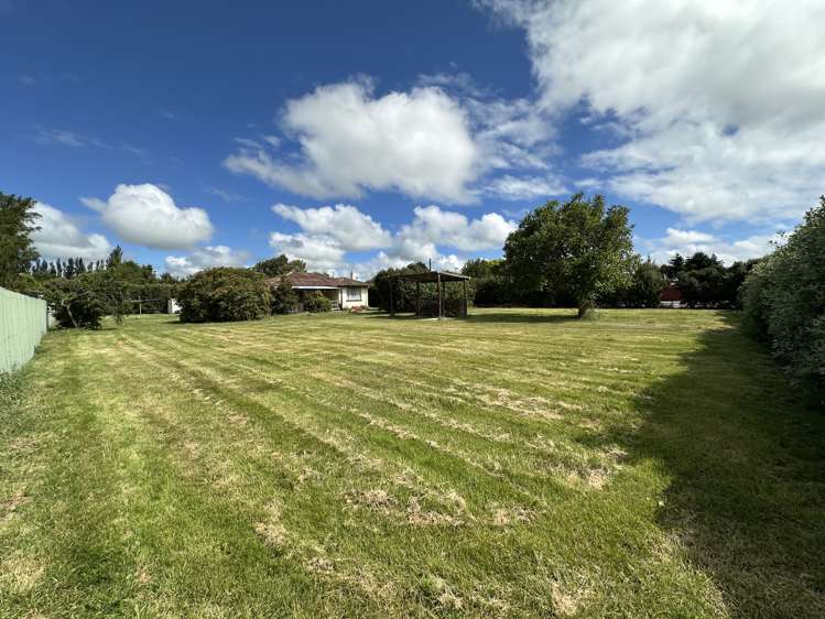 86 David Street Hinds_12