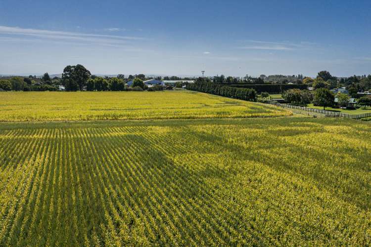 541 State Highway 51 Hastings_4