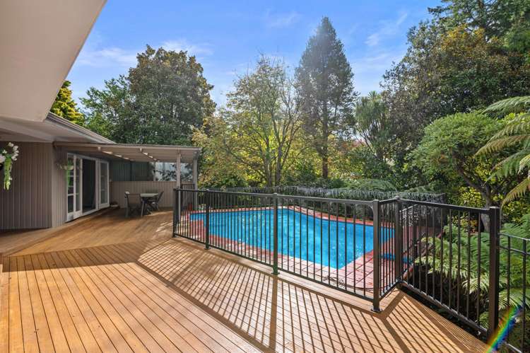 25 Moncur Drive Springfield_36