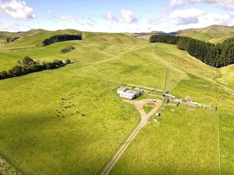672 Weber Road Dannevirke_7