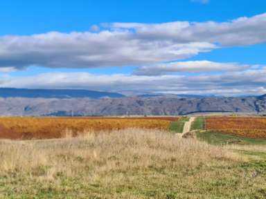 Lot 35 McArthur Road_4