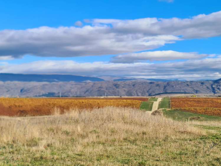 Lot 35 McArthur Road Alexandra_4