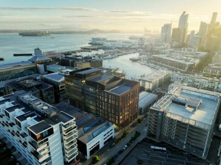 Ground Level/10 Madden Street Auckland Central_4