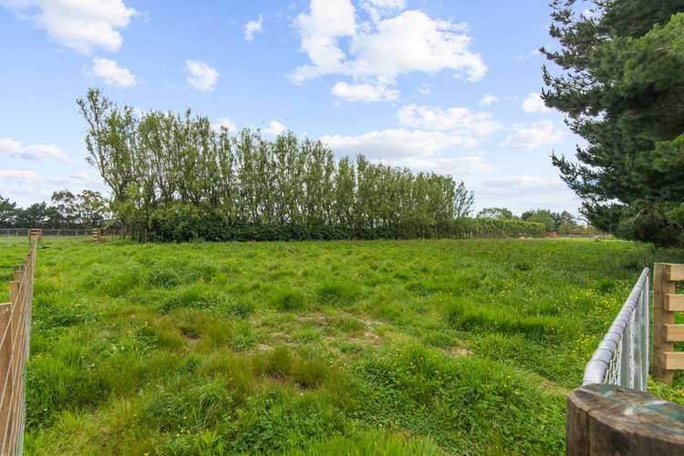 Setters Line Bunnythorpe_5