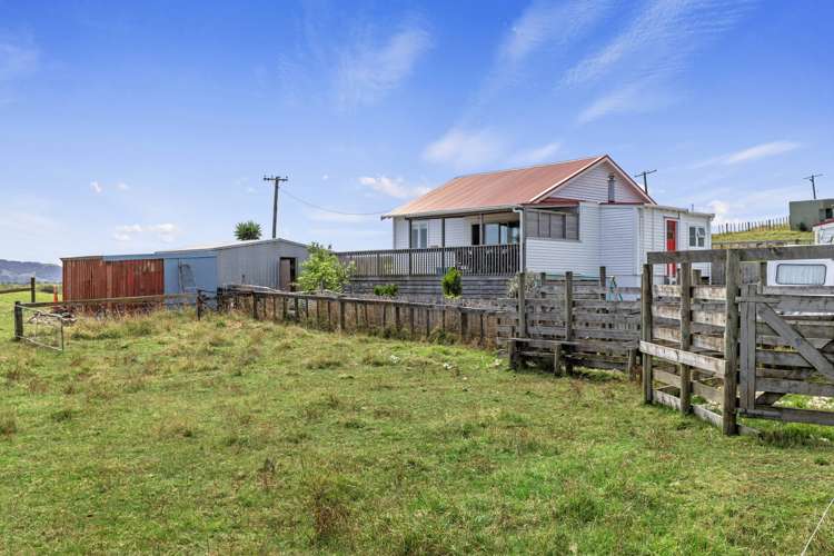 254 Wattle Road Te Kauwhata_25