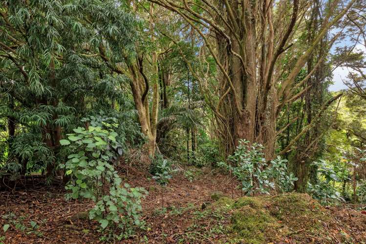 163 Dip Road Kamo_22