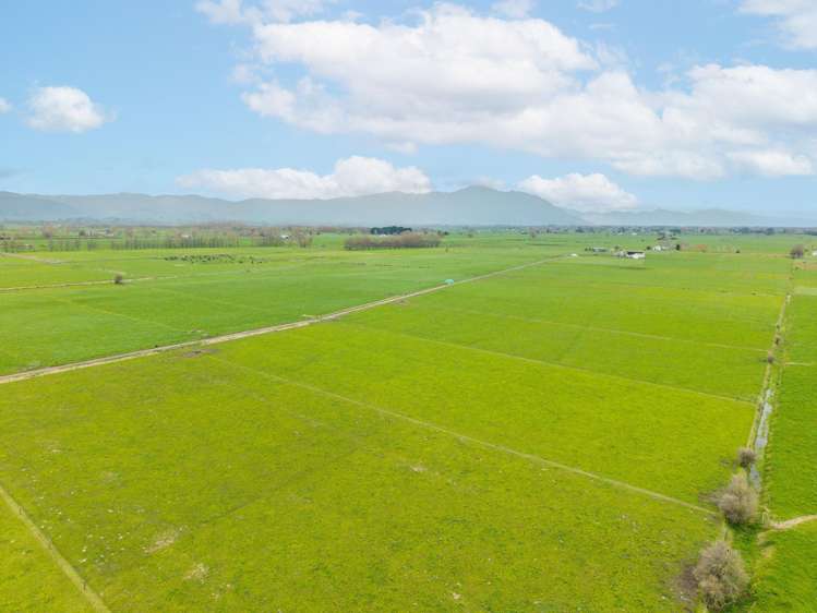 76 Otway Road Te Aroha_8