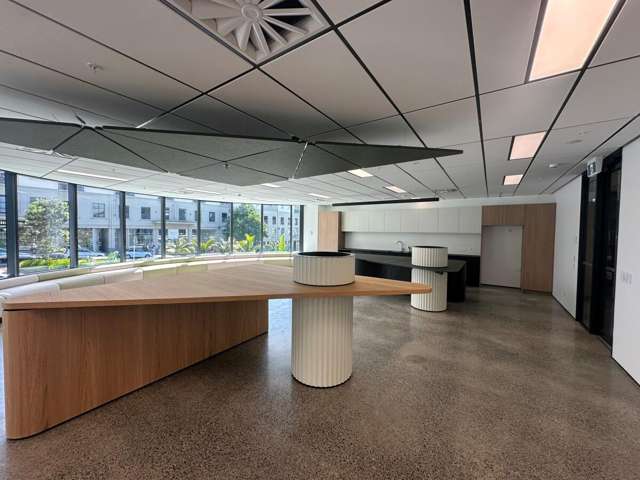 105 Carlton Gore Road Newmarket_1