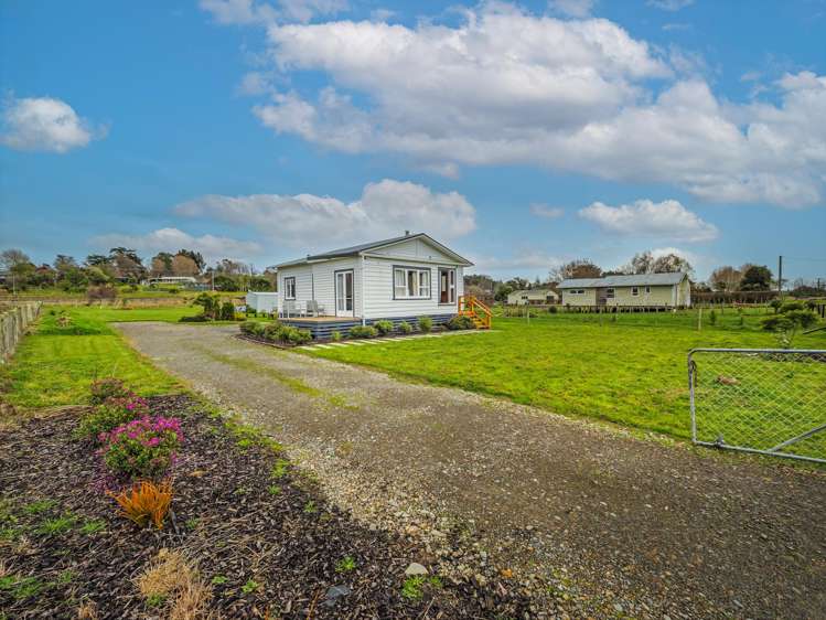 91 Willoughby Street Halcombe_12