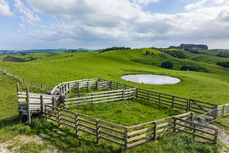 52 Gillon Road Matakohe_10