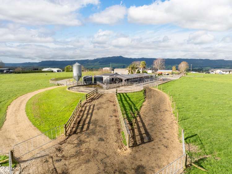 52 Kerr Road, RD 3, Te Poi Matamata_8