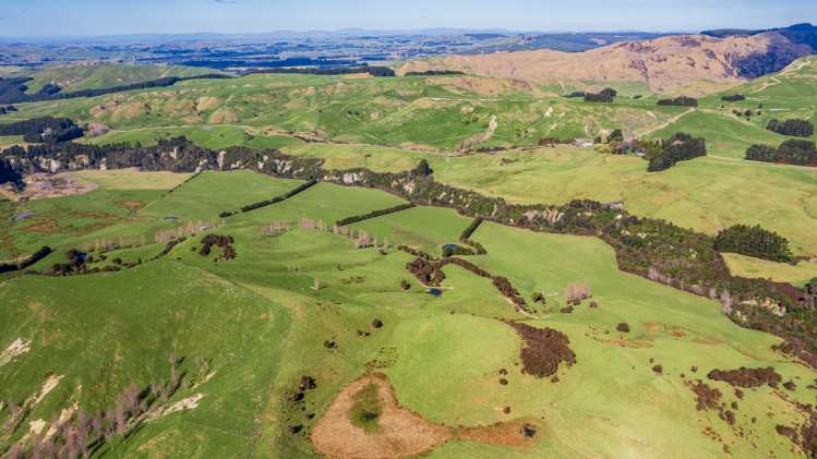 463 Gull Flat Road Central Hawkes Bay Country_20