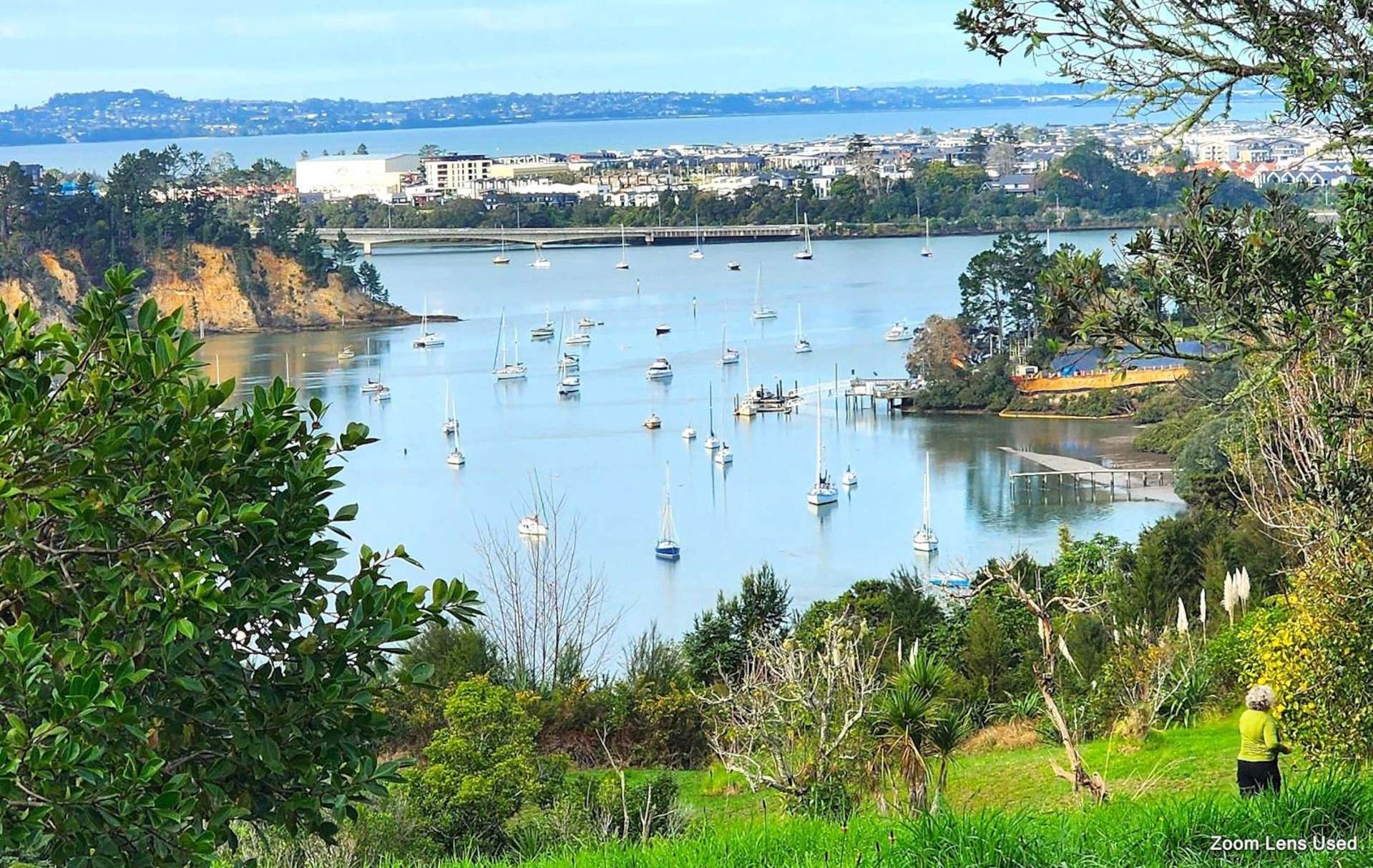 1 Buckleys Track Paremoremo_0