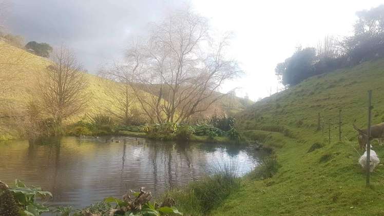 574 Kaitemako Road Welcome Bay_27