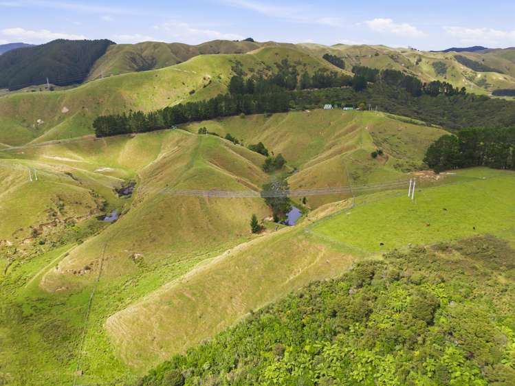 100 Heights Road Shannon_13