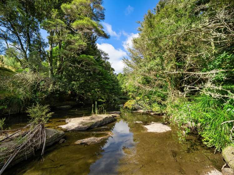 210 Wainui South Road Whakamarama_24