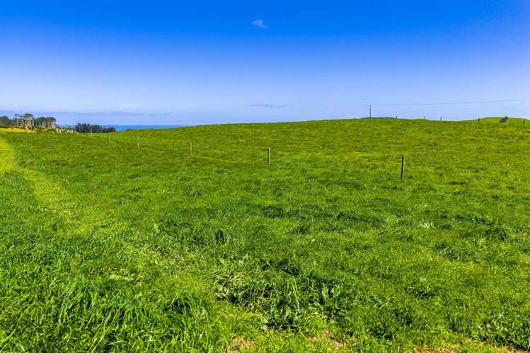 780 Te Maire Road Te Kopuru_26