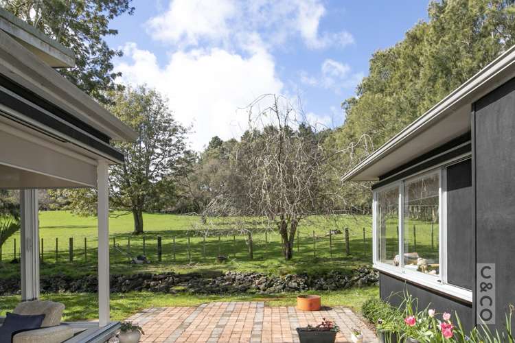 353 Taylor Road Helensville_6