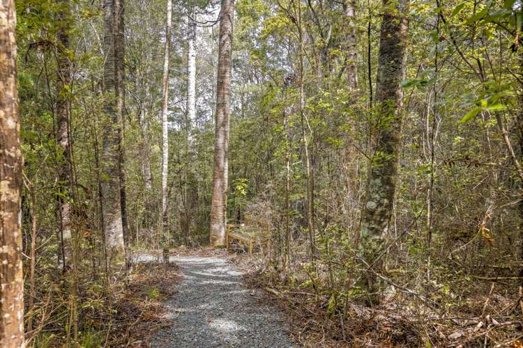 28 Matheson Bush Road Leigh_31