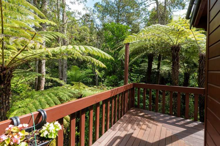 2/57 Pupuke Road Birkenhead_18