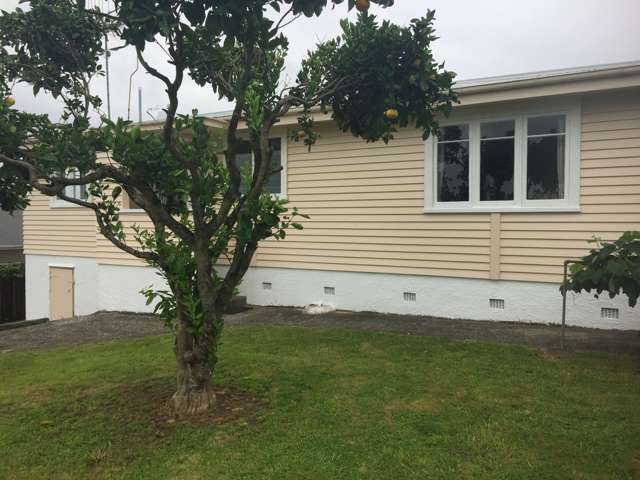 48 Gradara Avenue Otorohanga_2