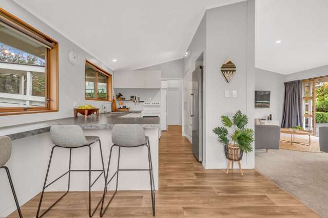 1 Te Wati Street Maungatapu_4