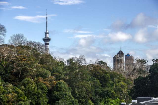 13/27 Birdwood Crescent Parnell_4