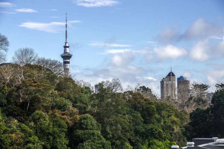 13/27 Birdwood Crescent Parnell_4