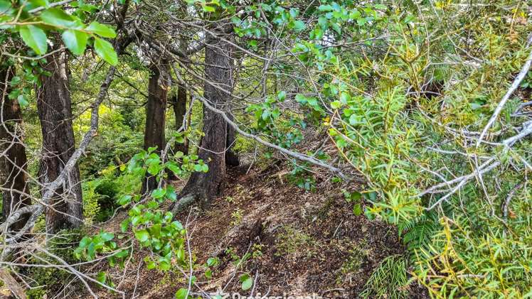 60 Riverstone Drive Riverstone Terraces_3