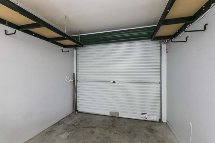 4b Palm Grove Berhampore_7