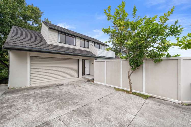 68A & 68B Sayegh Street St Heliers_3