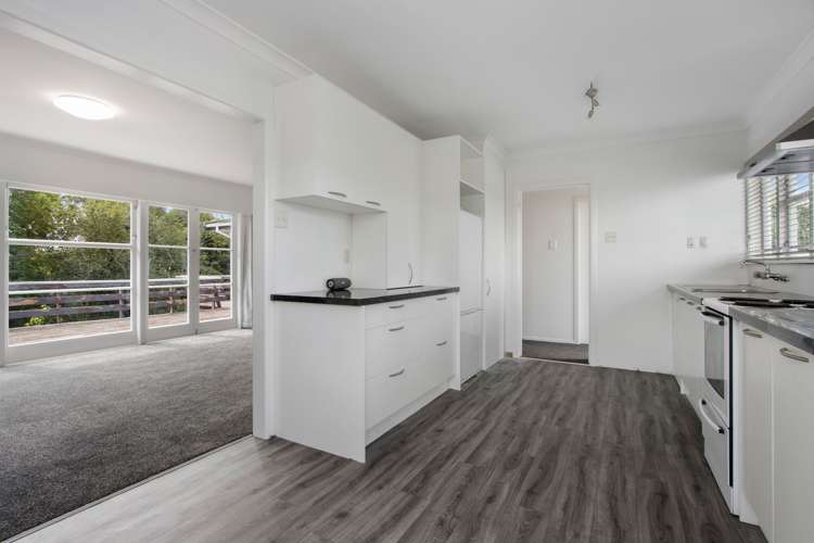 107 Park Road Katikati_5