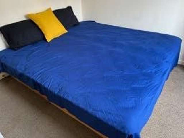 20C Lachlan Avenue North Dunedin_3