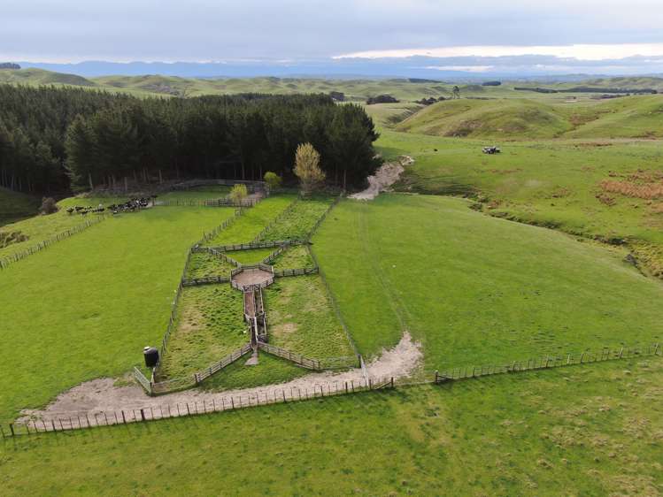 304 Middleton Road Waipukurau_18