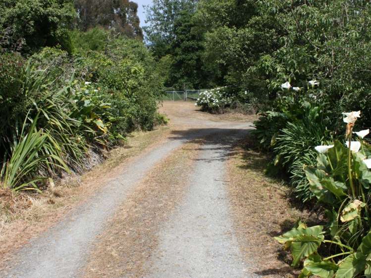 142 Gualter Road Geraldine_3